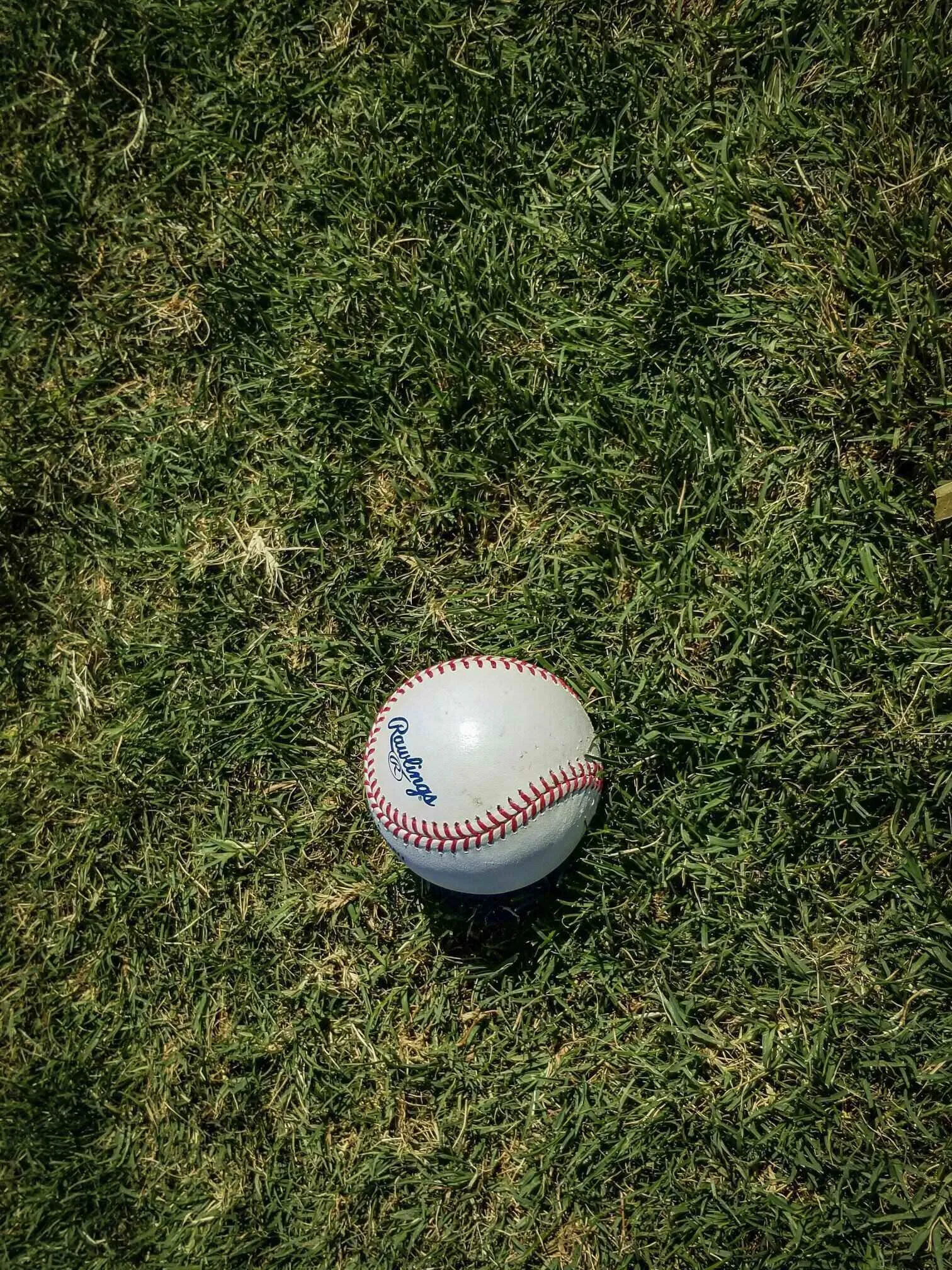 Baseball sitting on grass